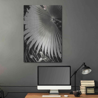 Luxe Metal Art 'Palm Frond 2' by Debra Van Swearingen, Metal Wall Art,24x36