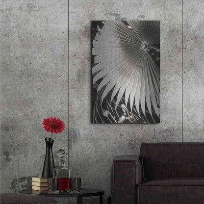 Luxe Metal Art 'Palm Frond 2' by Debra Van Swearingen, Metal Wall Art,24x36