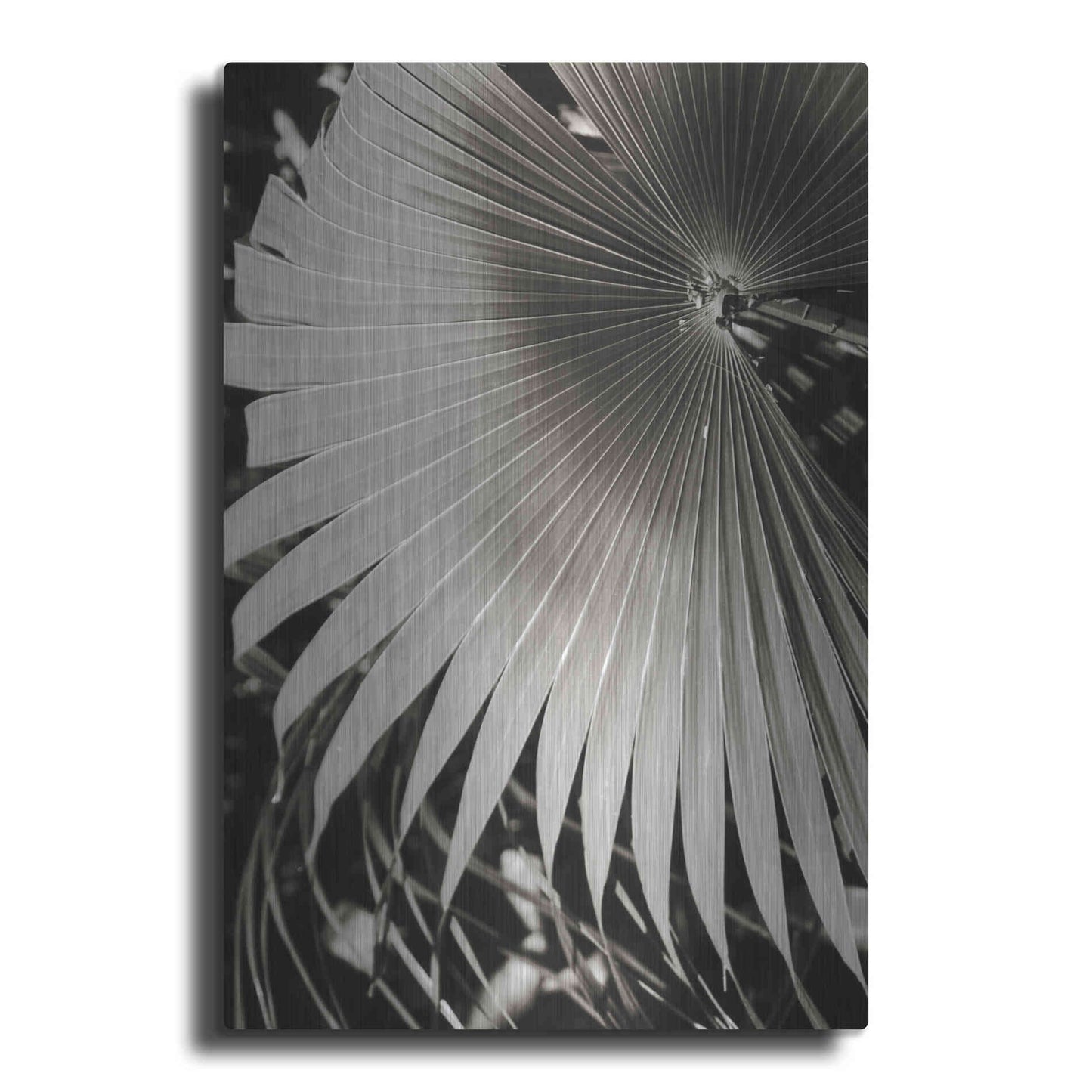 Luxe Metal Art 'Palm Frond 2' by Debra Van Swearingen, Metal Wall Art