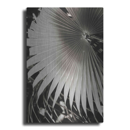 Luxe Metal Art 'Palm Frond 2' by Debra Van Swearingen, Metal Wall Art