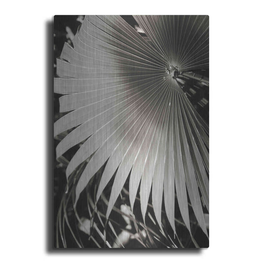 Luxe Metal Art 'Palm Frond 2' by Debra Van Swearingen, Metal Wall Art