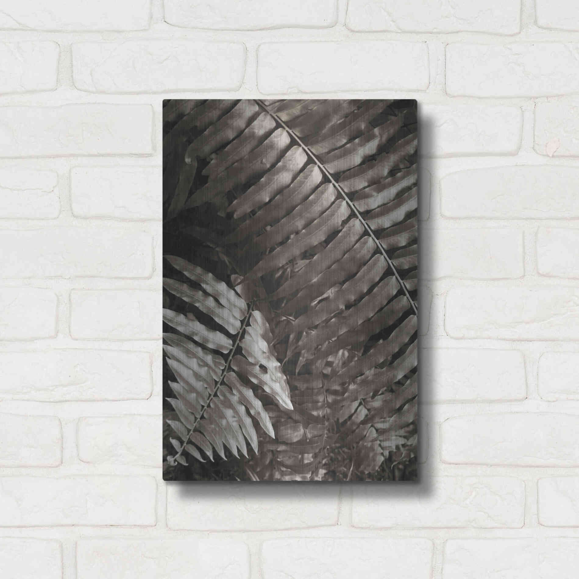 Luxe Metal Art 'Fern I' by Debra Van Swearingen, Metal Wall Art,12x16
