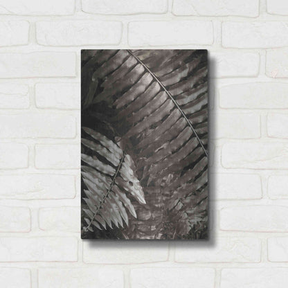 Luxe Metal Art 'Fern I' by Debra Van Swearingen, Metal Wall Art,12x16