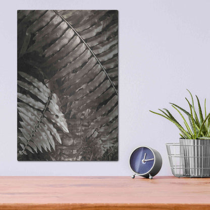 Luxe Metal Art 'Fern I' by Debra Van Swearingen, Metal Wall Art,12x16