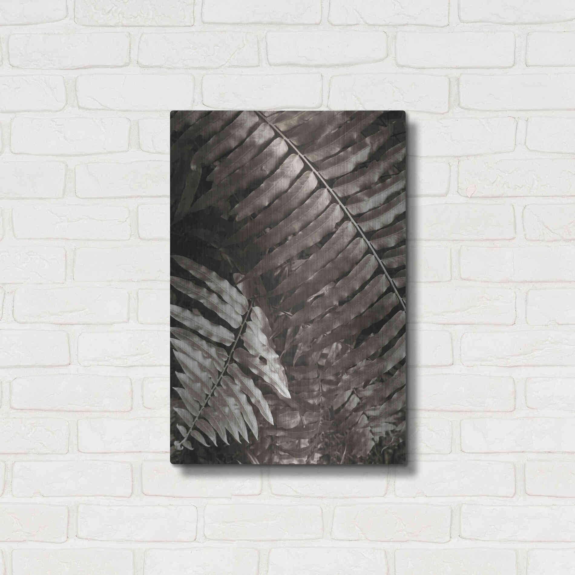 Luxe Metal Art 'Fern I' by Debra Van Swearingen, Metal Wall Art,16x24