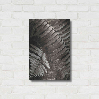 Luxe Metal Art 'Fern I' by Debra Van Swearingen, Metal Wall Art,16x24