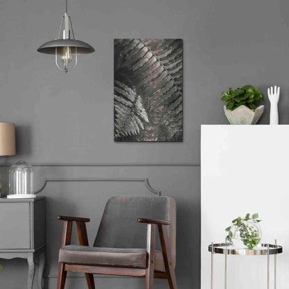 Luxe Metal Art 'Fern I' by Debra Van Swearingen, Metal Wall Art,16x24