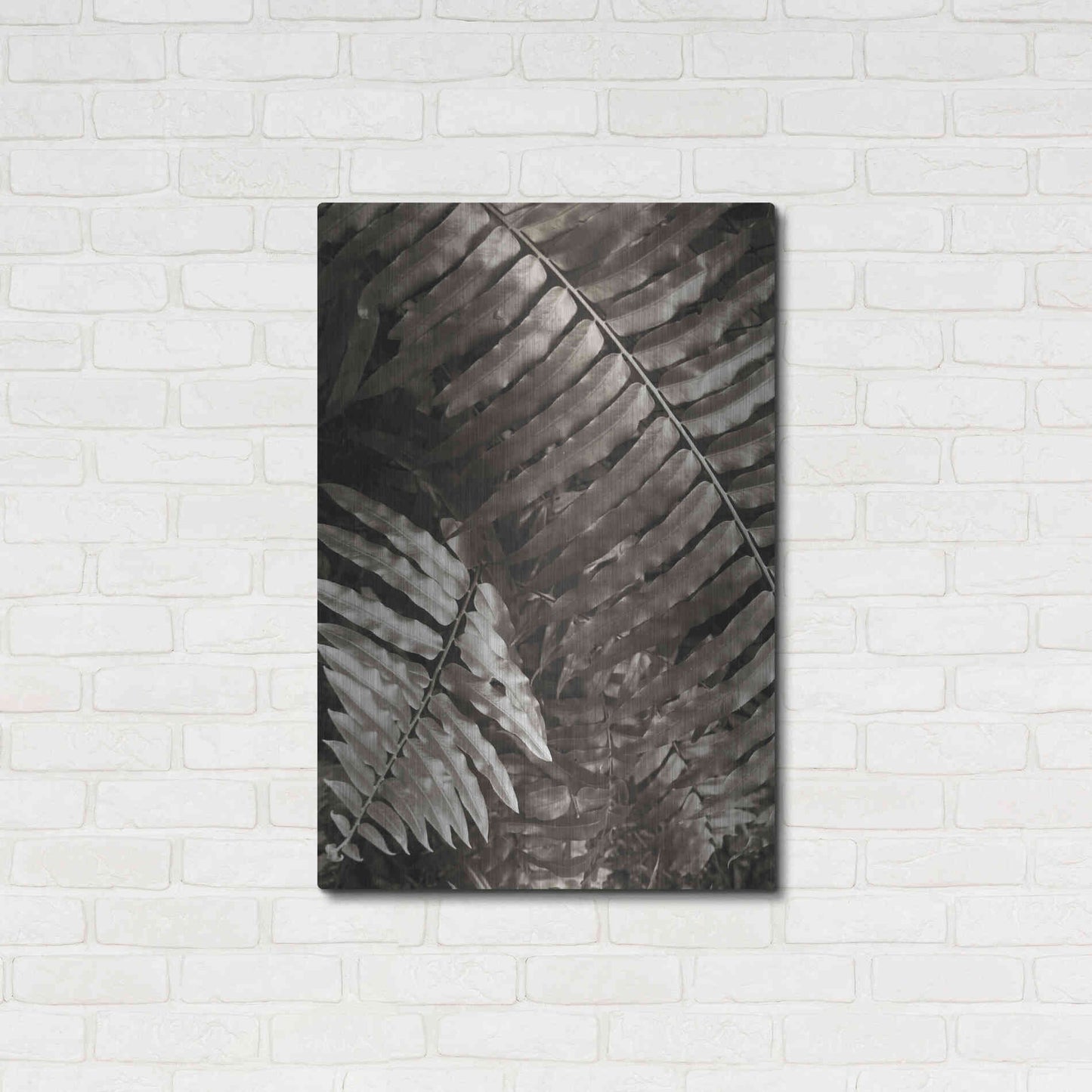 Luxe Metal Art 'Fern I' by Debra Van Swearingen, Metal Wall Art,24x36