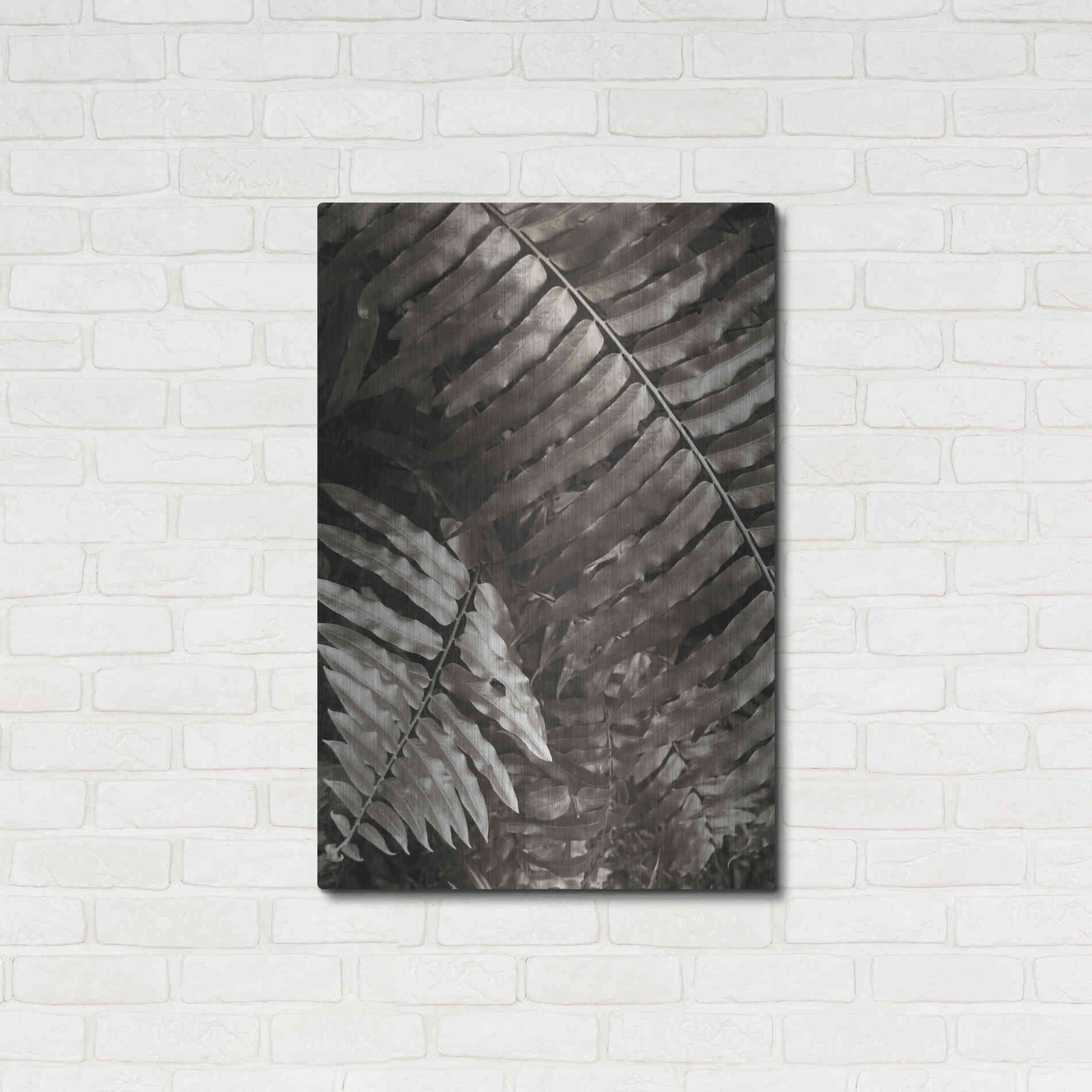 Luxe Metal Art 'Fern I' by Debra Van Swearingen, Metal Wall Art,24x36
