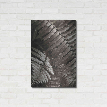 Luxe Metal Art 'Fern I' by Debra Van Swearingen, Metal Wall Art,24x36