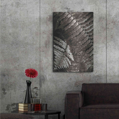 Luxe Metal Art 'Fern I' by Debra Van Swearingen, Metal Wall Art,24x36