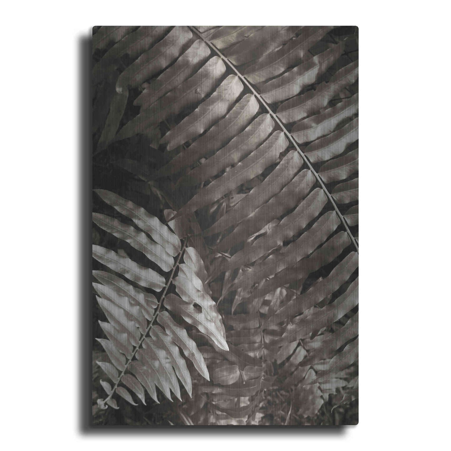 Luxe Metal Art 'Fern I' by Debra Van Swearingen, Metal Wall Art