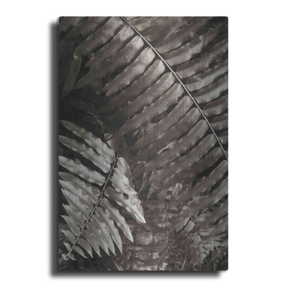 Luxe Metal Art 'Fern I' by Debra Van Swearingen, Metal Wall Art