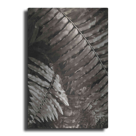 Luxe Metal Art 'Fern I' by Debra Van Swearingen, Metal Wall Art