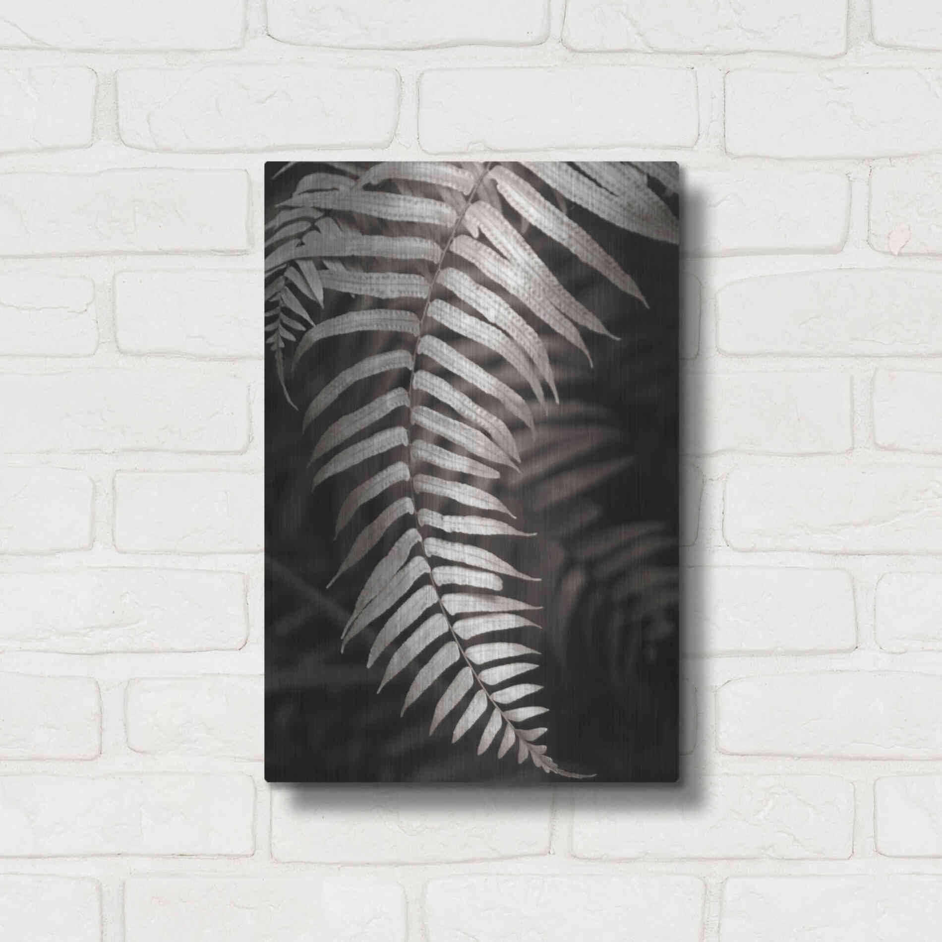 Luxe Metal Art 'Fern II' by Debra Van Swearingen, Metal Wall Art,12x16