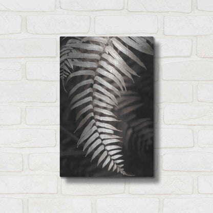 Luxe Metal Art 'Fern II' by Debra Van Swearingen, Metal Wall Art,12x16
