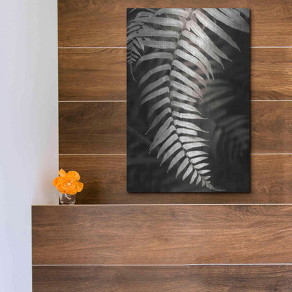 Luxe Metal Art 'Fern II' by Debra Van Swearingen, Metal Wall Art,12x16