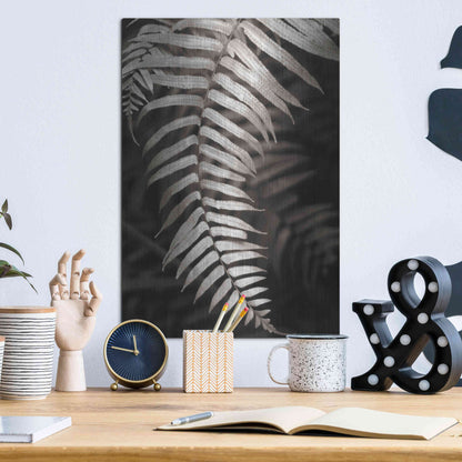 Luxe Metal Art 'Fern II' by Debra Van Swearingen, Metal Wall Art,12x16