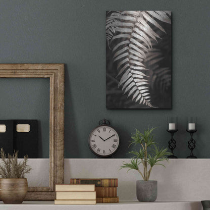 Luxe Metal Art 'Fern II' by Debra Van Swearingen, Metal Wall Art,12x16