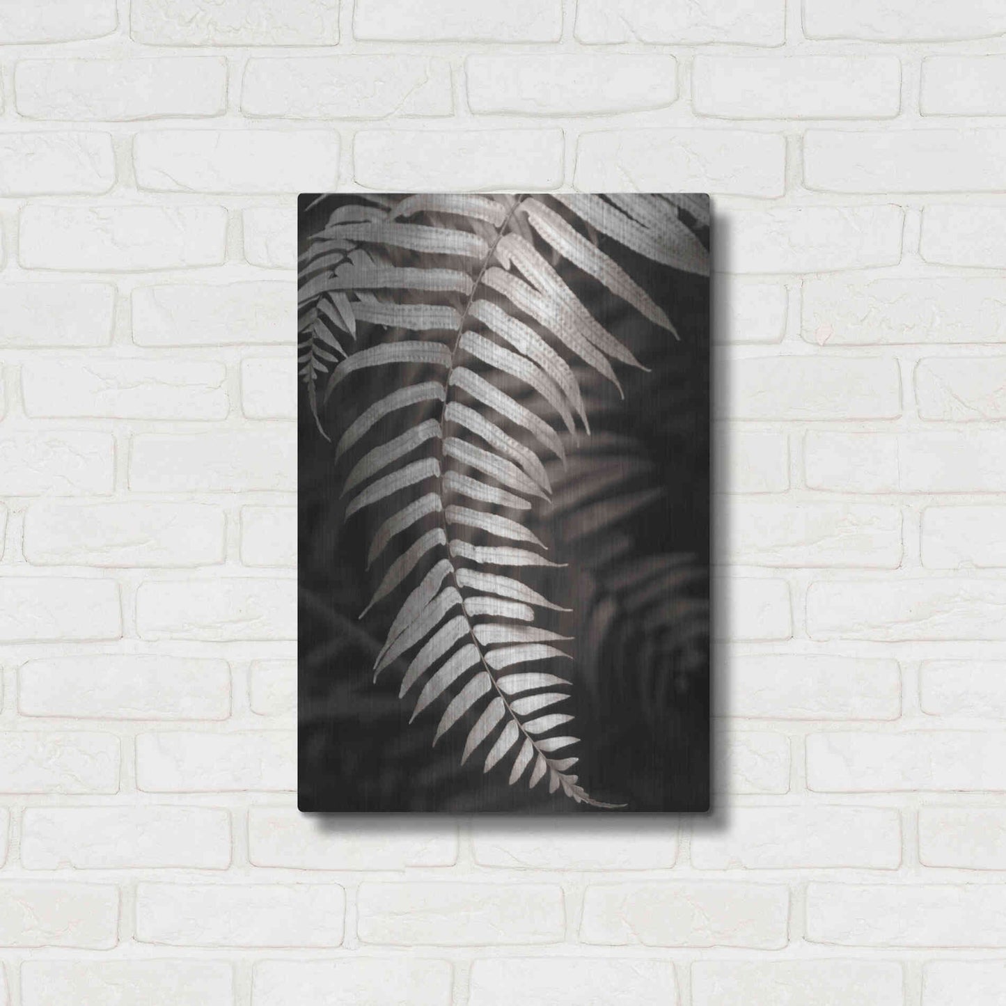 Luxe Metal Art 'Fern II' by Debra Van Swearingen, Metal Wall Art,16x24