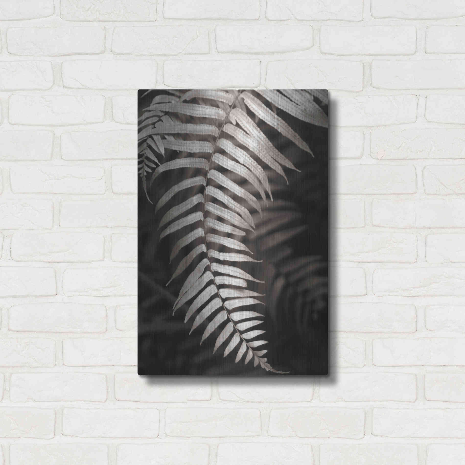 Luxe Metal Art 'Fern II' by Debra Van Swearingen, Metal Wall Art,16x24
