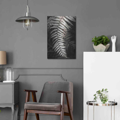 Luxe Metal Art 'Fern II' by Debra Van Swearingen, Metal Wall Art,16x24