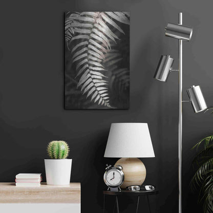 Luxe Metal Art 'Fern II' by Debra Van Swearingen, Metal Wall Art,16x24