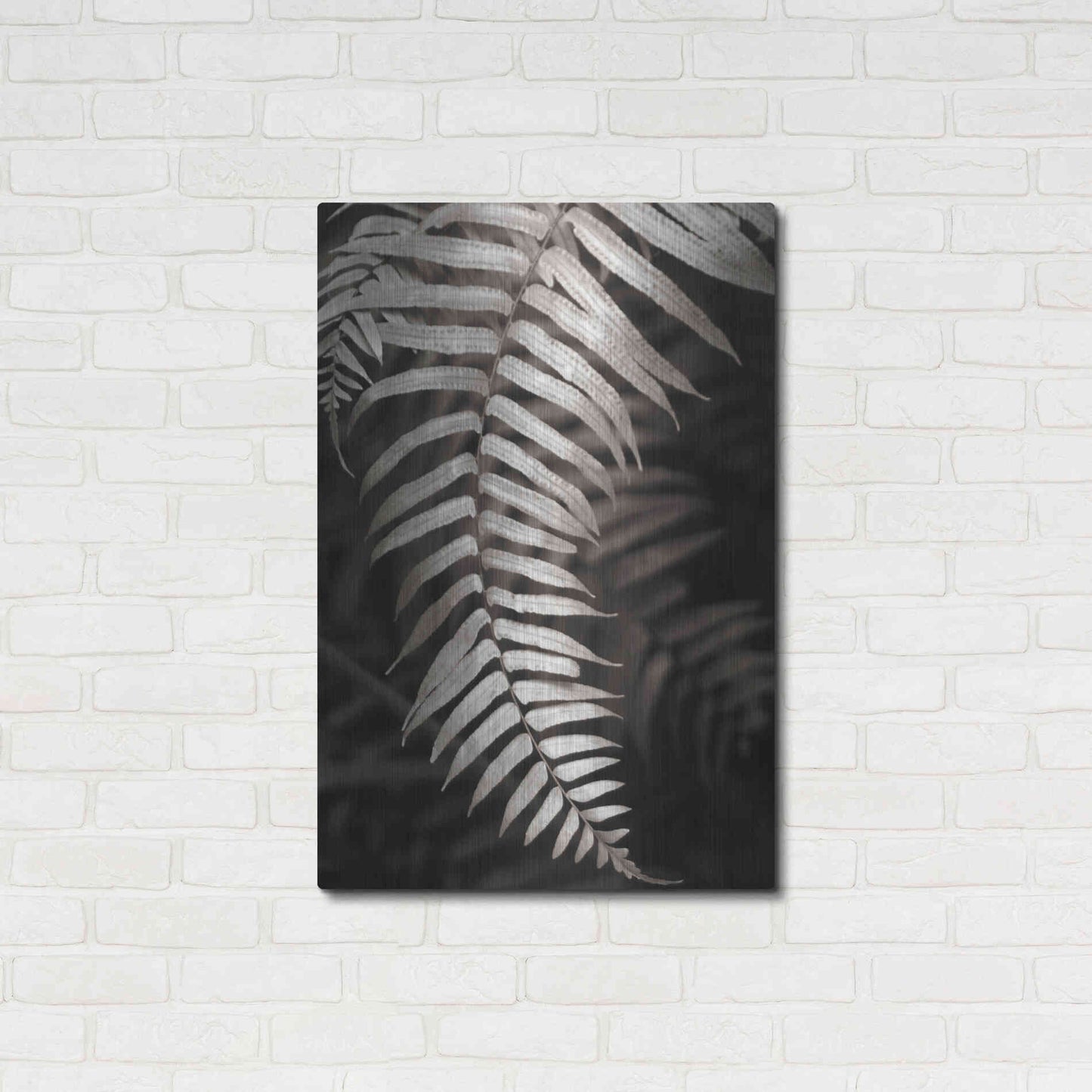 Luxe Metal Art 'Fern II' by Debra Van Swearingen, Metal Wall Art,24x36