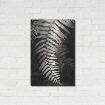 Luxe Metal Art 'Fern II' by Debra Van Swearingen, Metal Wall Art,24x36