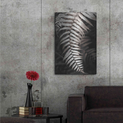 Luxe Metal Art 'Fern II' by Debra Van Swearingen, Metal Wall Art,24x36