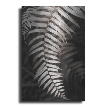Luxe Metal Art 'Fern II' by Debra Van Swearingen, Metal Wall Art