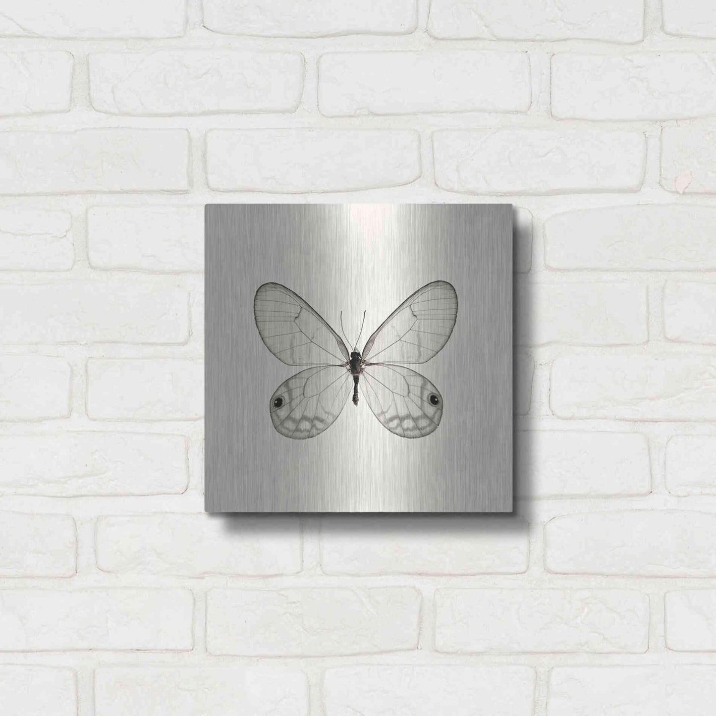 Luxe Metal Art 'Butterfly I B&W' by Debra Van Swearingen, Metal Wall Art,12x12
