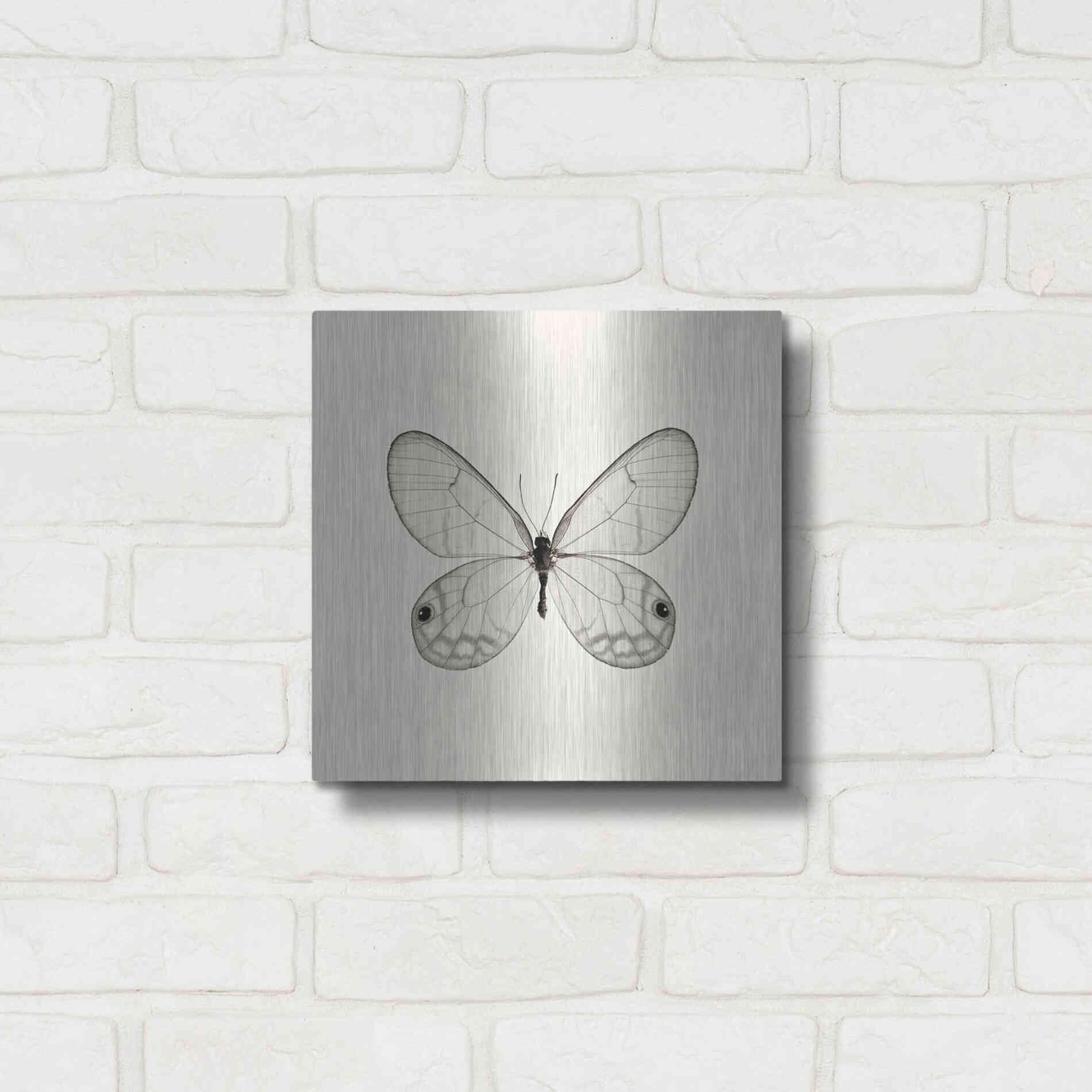 Luxe Metal Art 'Butterfly I B&W' by Debra Van Swearingen, Metal Wall Art,12x12