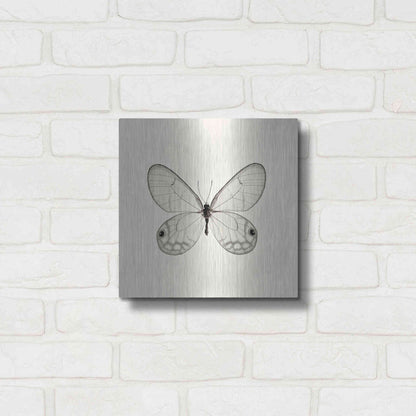 Luxe Metal Art 'Butterfly I B&W' by Debra Van Swearingen, Metal Wall Art,12x12