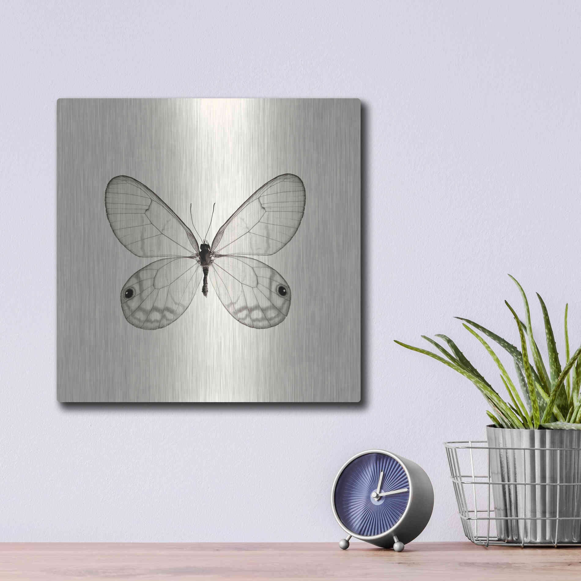 Luxe Metal Art 'Butterfly I B&W' by Debra Van Swearingen, Metal Wall Art,12x12