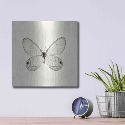 Luxe Metal Art 'Butterfly I B&W' by Debra Van Swearingen, Metal Wall Art,12x12