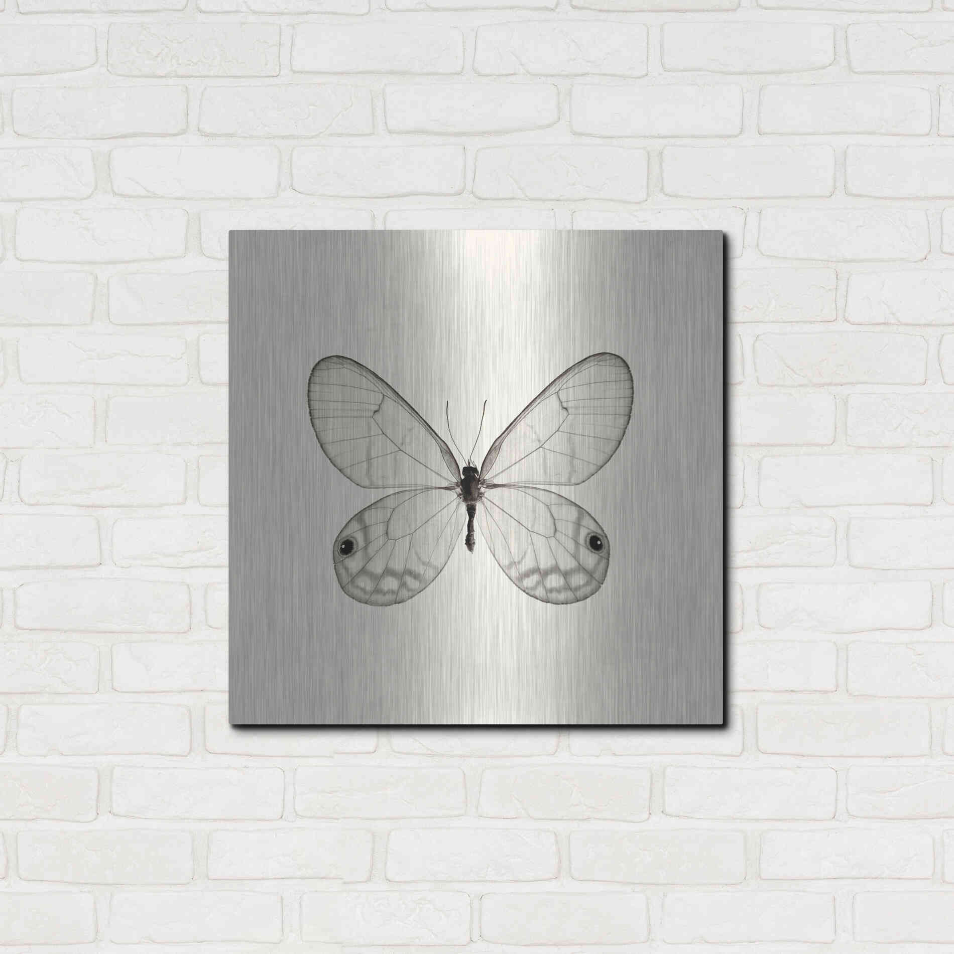 Luxe Metal Art 'Butterfly I B&W' by Debra Van Swearingen, Metal Wall Art,24x24