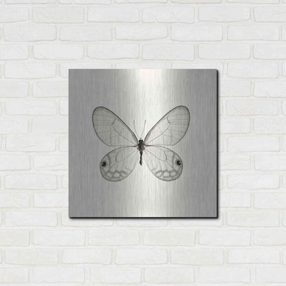 Luxe Metal Art 'Butterfly I B&W' by Debra Van Swearingen, Metal Wall Art,24x24