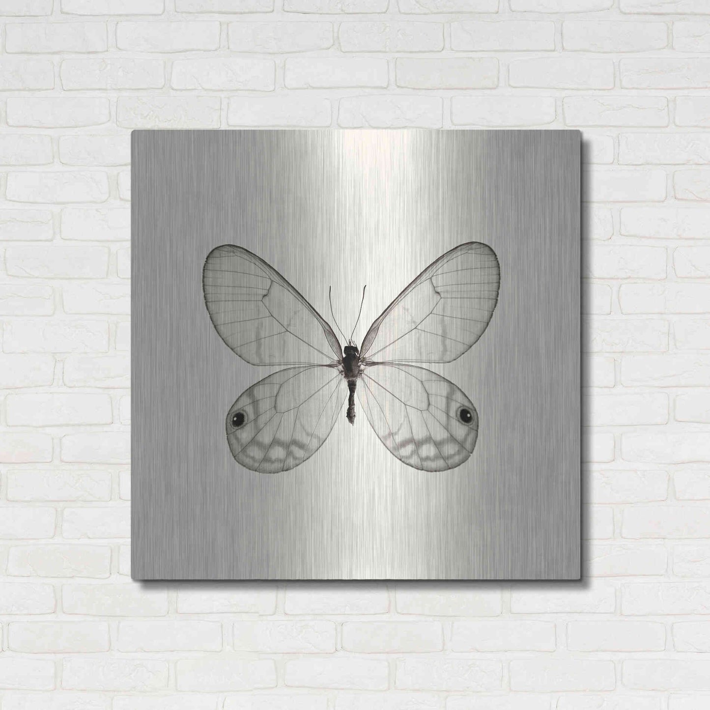 Luxe Metal Art 'Butterfly I B&W' by Debra Van Swearingen, Metal Wall Art,36x36