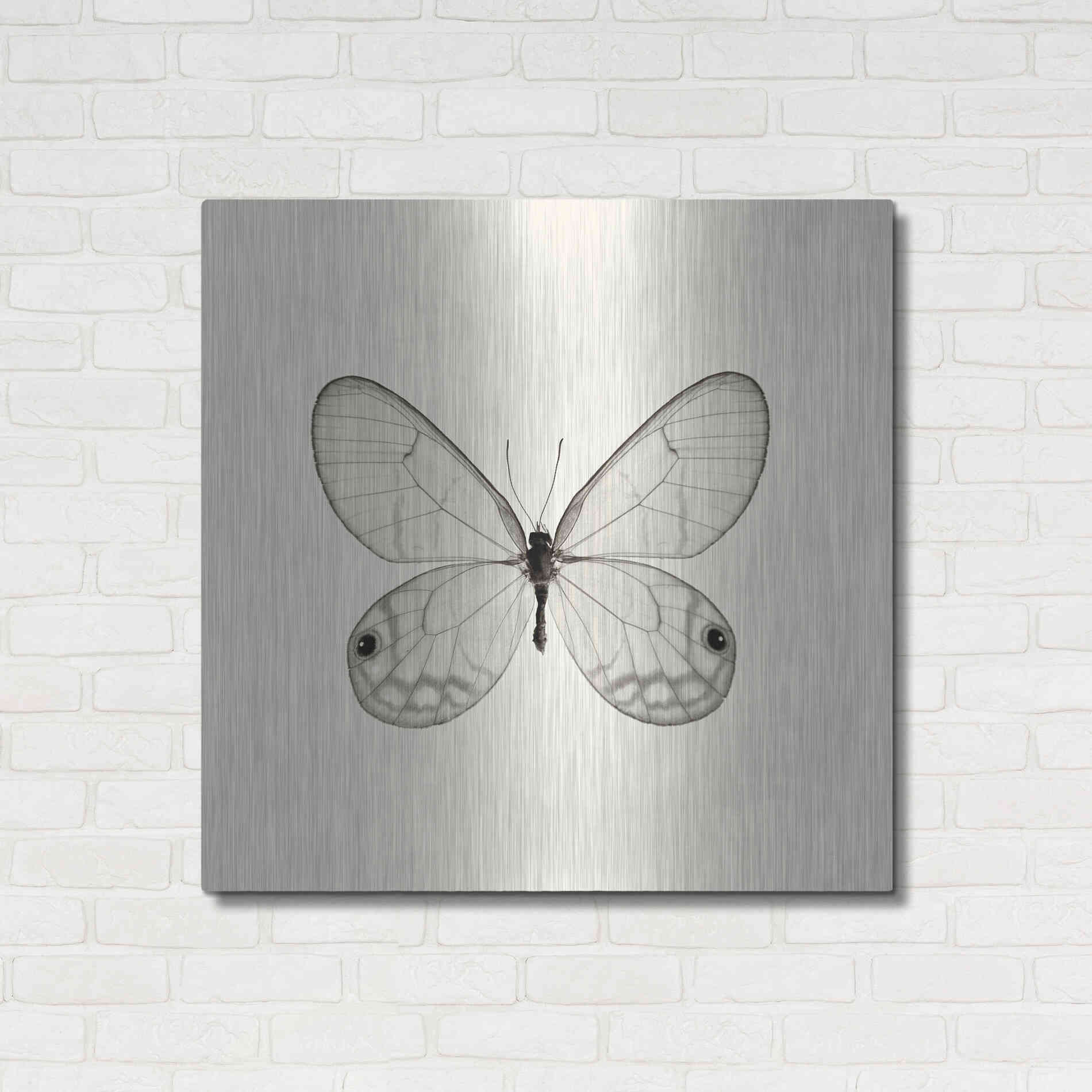 Luxe Metal Art 'Butterfly I B&W' by Debra Van Swearingen, Metal Wall Art,36x36