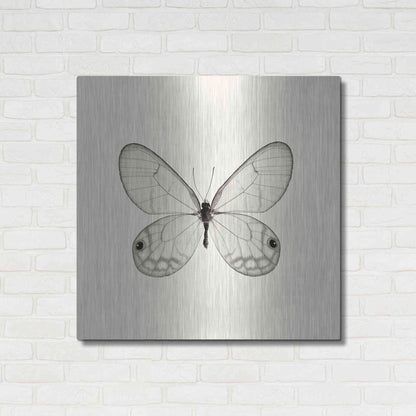 Luxe Metal Art 'Butterfly I B&W' by Debra Van Swearingen, Metal Wall Art,36x36
