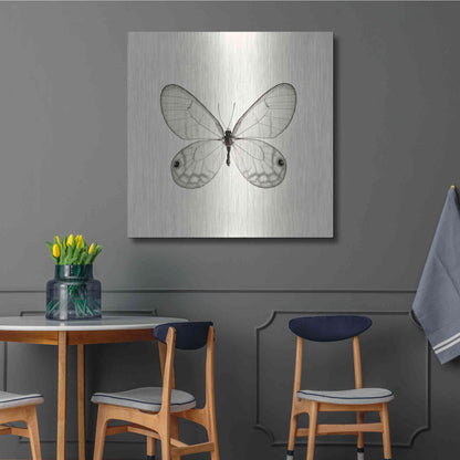 Luxe Metal Art 'Butterfly I B&W' by Debra Van Swearingen, Metal Wall Art,36x36