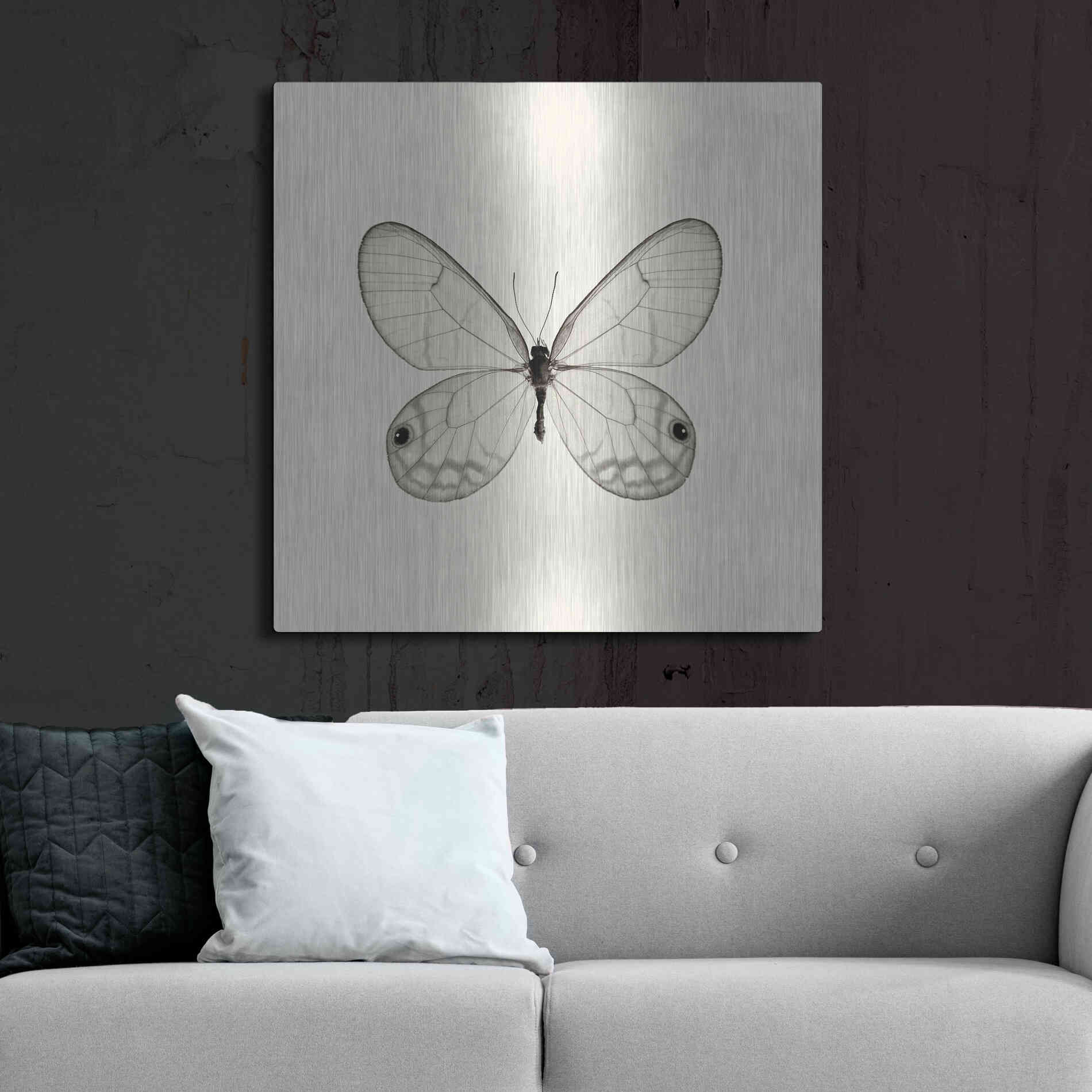 Luxe Metal Art 'Butterfly I B&W' by Debra Van Swearingen, Metal Wall Art,36x36