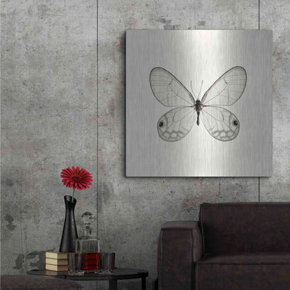 Luxe Metal Art 'Butterfly I B&W' by Debra Van Swearingen, Metal Wall Art,36x36