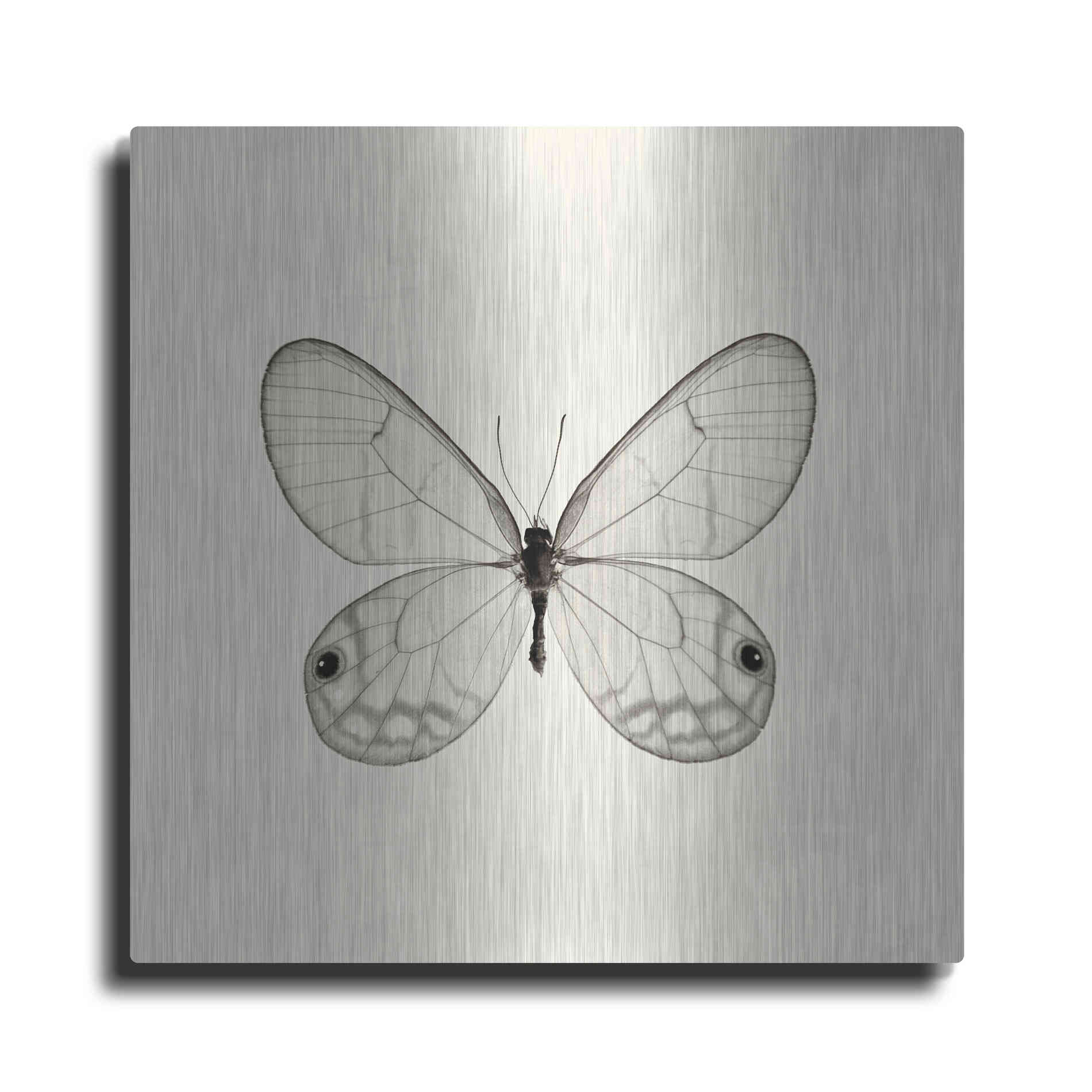 Luxe Metal Art 'Butterfly I B&W' by Debra Van Swearingen, Metal Wall Art