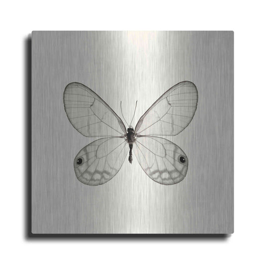 Luxe Metal Art 'Butterfly I B&W' by Debra Van Swearingen, Metal Wall Art