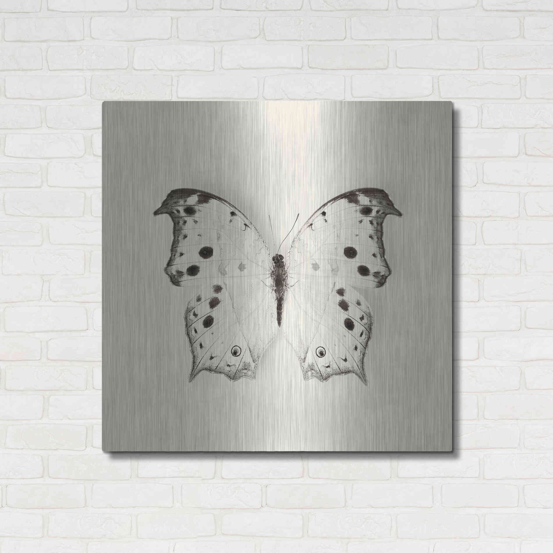 Luxe Metal Art 'Butterfly IV B&W' by Debra Van Swearingen, Metal Wall Art,36x36