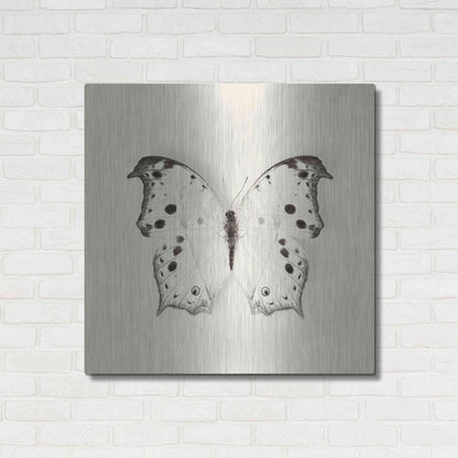 Luxe Metal Art 'Butterfly IV B&W' by Debra Van Swearingen, Metal Wall Art,36x36