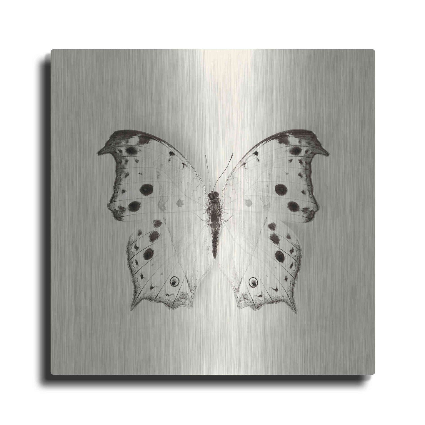Luxe Metal Art 'Butterfly IV B&W' by Debra Van Swearingen, Metal Wall Art