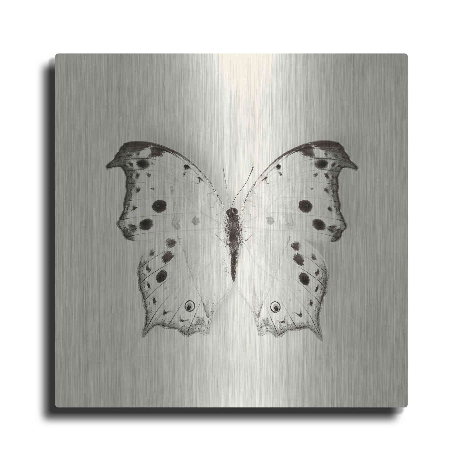 Luxe Metal Art 'Butterfly IV B&W' by Debra Van Swearingen, Metal Wall Art